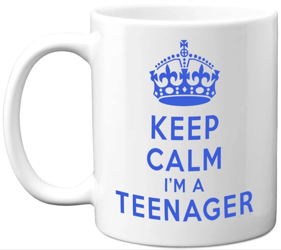 I Can't Keep Calm I'm A Teenager Boy 13th Birthday Gift Mug